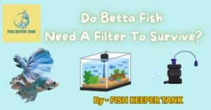 Do Betta Fish Need A Filter To Survive?