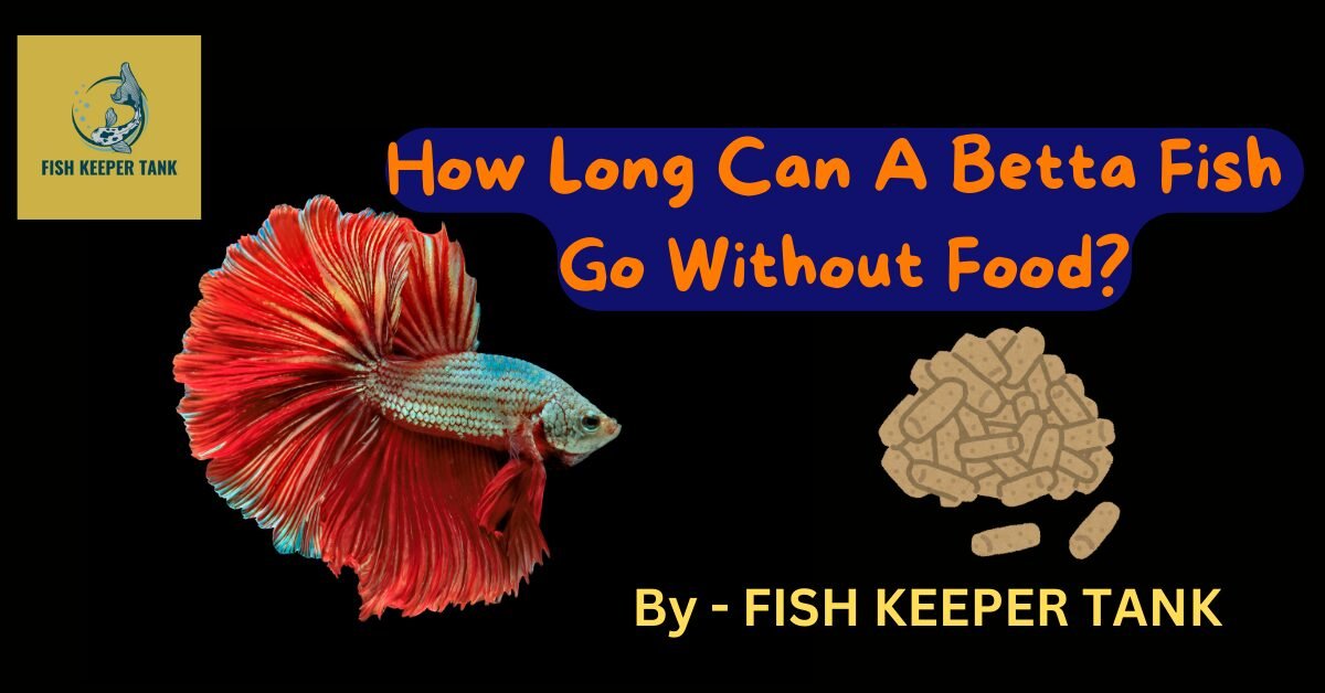 How Long Can A Betta Fish Go Without Food?