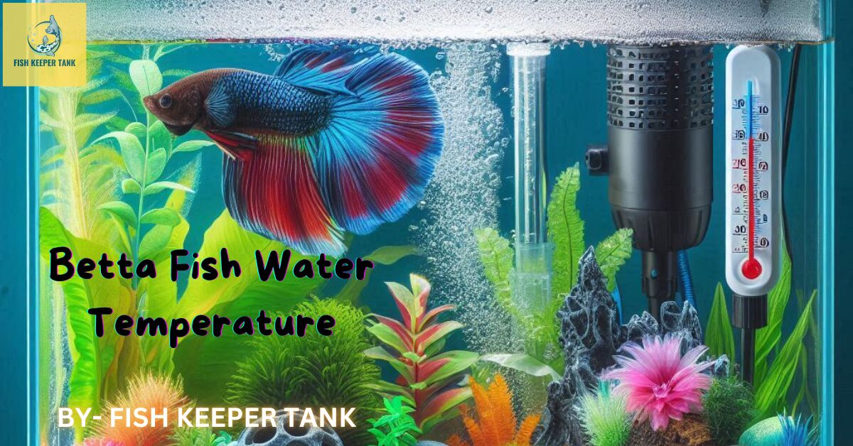 Betta Fish Water Temperature: The Essential Guide