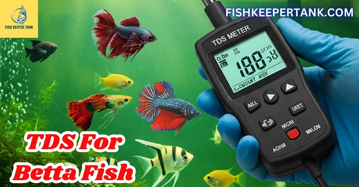 TDS For Betta Fish: Total Dissolved Solids In Betta Fish Tank