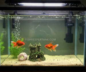 View of Goldfish Tank Size Calculator: Aquarium Tank Volume Calculator