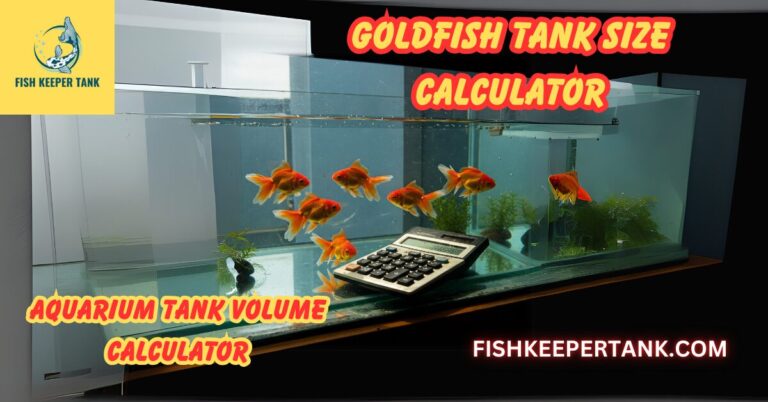 View of Goldfish Tank Size Calculator: Aquarium Tank Volume Calculator